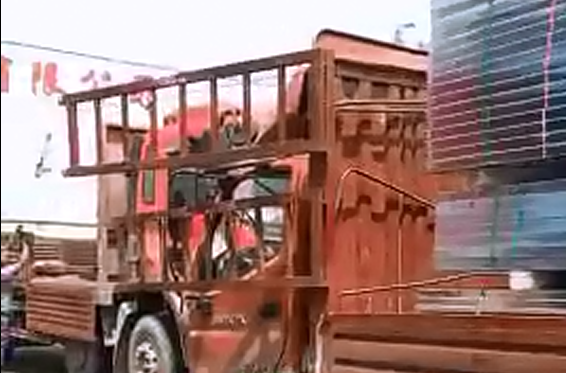 發(fā)貨現場視頻